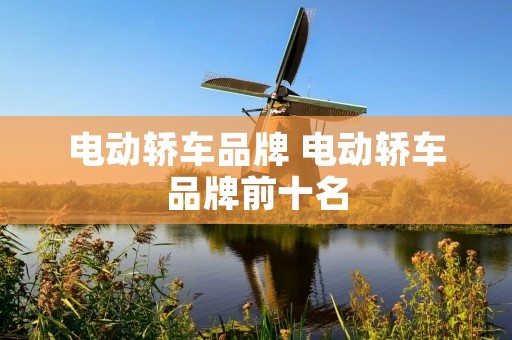 电动轿车品牌 电动轿车品牌前十名 电动轿车品牌 电动轿车品牌前十名