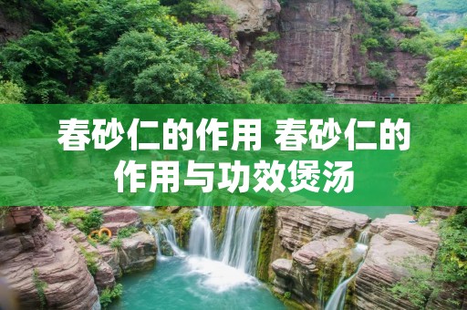 春砂仁的作用 春砂仁的作用与功效煲汤 春砂仁的作用 春砂仁的作用与功效煲汤