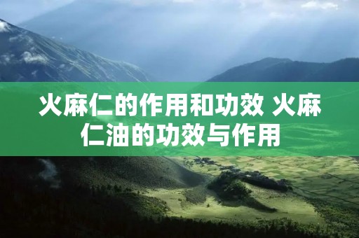 火麻仁的作用和功效 火麻仁油的功效与作用