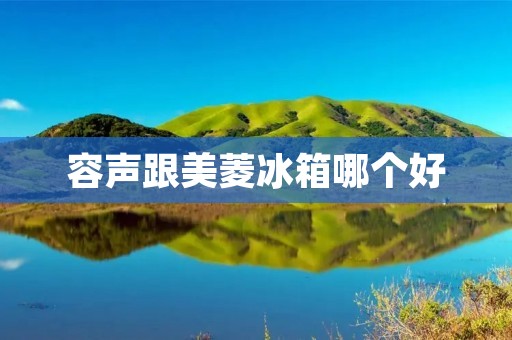 容声跟美菱冰箱哪个好