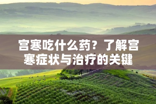 宫寒吃什么药?了解宫寒症状与治疗的关键