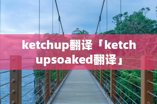 ketchup翻译「ketchupsoaked翻译」