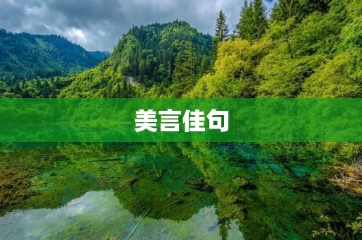 美言佳句:让我们的语言充满温暖和力量