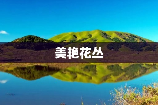 美艳花丛:绚烂盛放的自然之美