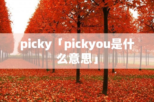 picky「pickyou是什么意思」