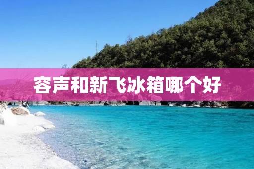 容声和新飞冰箱哪个好:性能、品质与价格全面对比 容声和新飞冰箱哪个好:性能、品质与价格全面对比