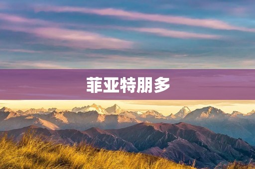 菲亚特朋多：时尚与实用的完美结合