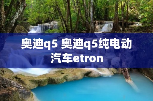 奥迪q5 奥迪q5纯电动汽车etron