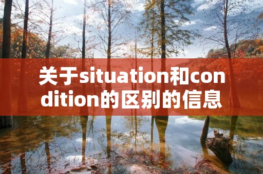 关于situation和condition的区别的信息 关于situation和condition的区别的信息