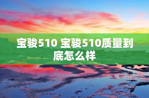 宝骏510 宝骏510质量到底怎么样
