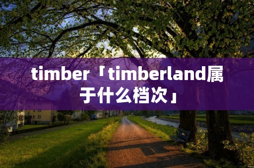 timber「timberland属于什么档次」