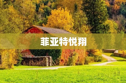菲亚特悦翔:豪华驾乘体验的完美典范 菲亚特悦翔:豪华驾乘体验的完美典范