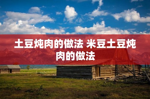 土豆炖肉的做法 米豆土豆炖肉的做法