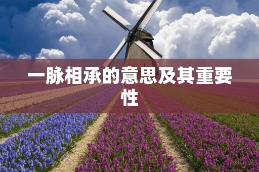一脉相承的意思及其重要性