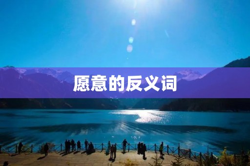 愿意的反义词:不愿意
