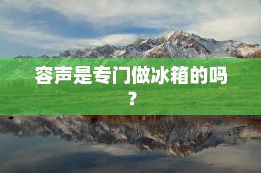 容声是专门做冰箱的吗？