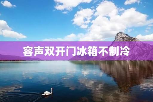 容声**门冰箱不制冷：原因及解决方法