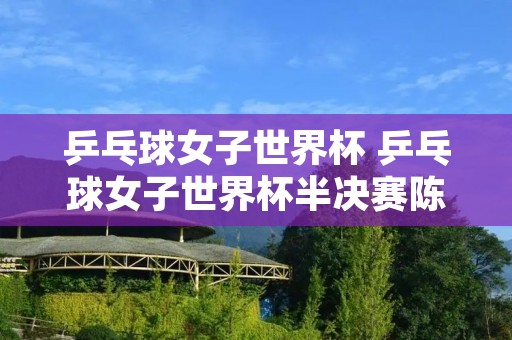 乒乓球女子世界杯 乒乓球女子世界杯半决赛陈梦