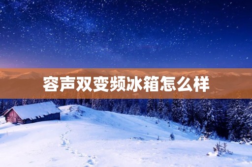 容声双变频冰箱怎么样：高性能与节能的完美结合