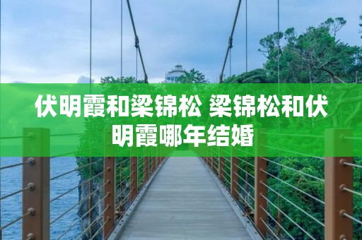 伏明霞和梁锦松 梁锦松和伏明霞哪年结婚