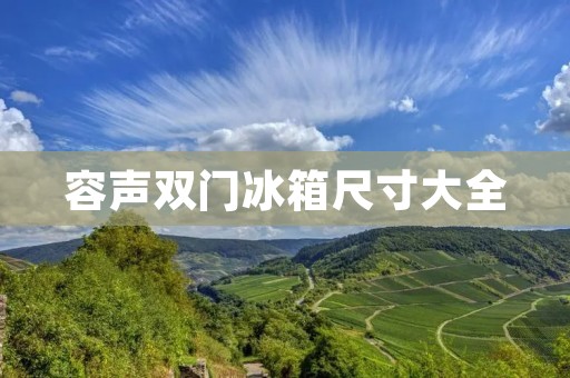 容声双门冰箱尺寸大全 容声双门冰箱尺寸大全