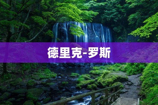 德里克-罗斯：一个传奇的篮球之旅