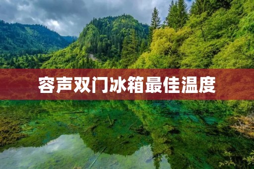 容声双门冰箱最佳温度：保鲜与能效的平衡