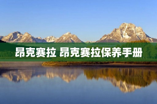 昂克赛拉 昂克赛拉保养手册