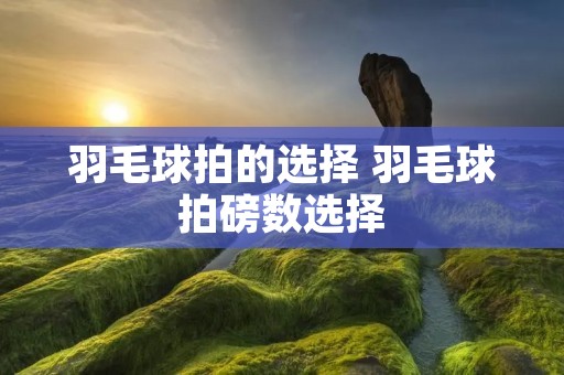 羽毛球拍的选择 羽毛球拍磅数选择 羽毛球拍的选择 羽毛球拍磅数选择