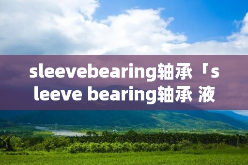 sleevebearing轴承「sleeve bearing轴承 液压轴承」