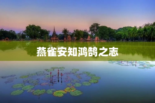 燕雀安知鸿鹄之志:小鸟怎能理解大鹏的志向?
