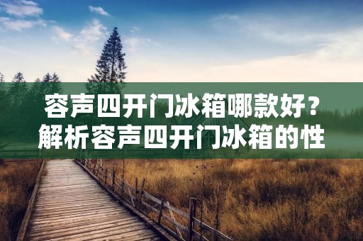 容声四开门冰箱哪款好？解析容声四开门冰箱的性能、功能和用户评价
