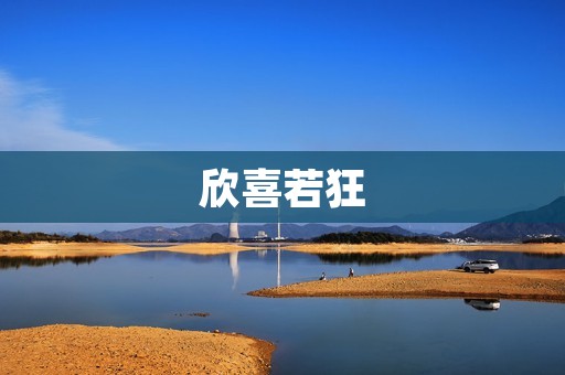 欣喜若狂:探寻快乐的源泉