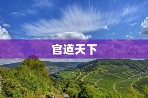 官道天下:权力与荣耀的较量