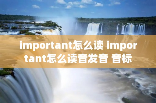 important怎么读 important怎么读音发音 音标