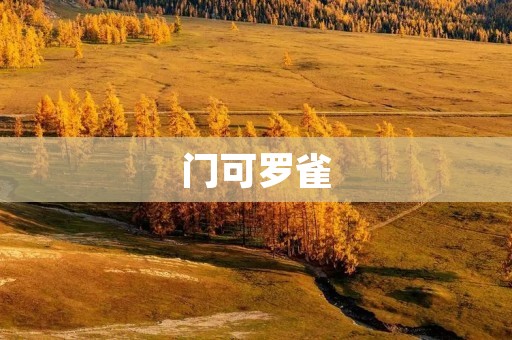 门可罗雀:城市街头的寂静与喧嚣