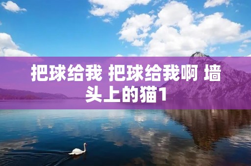 把球给我 把球给我啊 墙头上的猫1