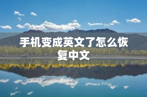 手机变成英文了怎么恢复中文