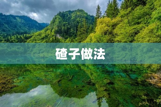 碴子做法:传统美食的独特魅力 碴子做法:传统美食的独特魅力