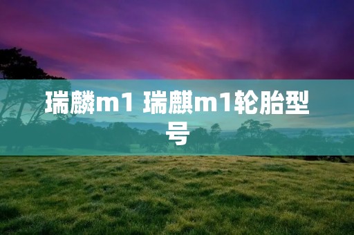 瑞麟m1 瑞麒m1轮胎型号