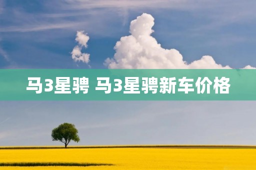 马3星骋 马3星骋新车价格