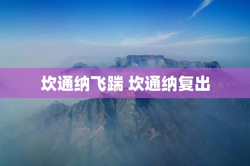 坎通纳飞踹 坎通纳复出