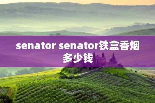 senator senator铁盒香烟多少钱