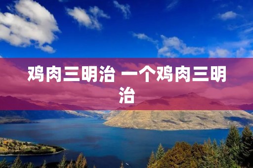 鸡肉三明治 一个鸡肉三明治 鸡肉三明治 一个鸡肉三明治