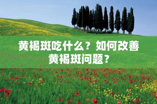 黄褐斑吃什么?如何改善黄褐斑问题?