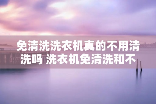 免清洗洗衣机真的不用清洗吗 洗衣机免清洗和不免清洗的区别