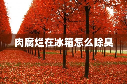 肉腐烂在冰箱怎么除臭:全面解决方法详解 肉腐烂在冰箱怎么除臭:全面解决方法详解