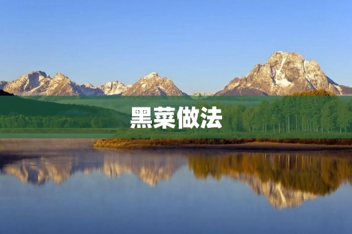 黑菜做法：打造美味健康的佳肴