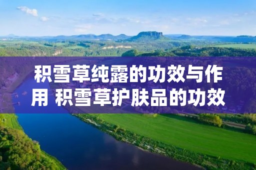 积雪草纯露的功效与作用 积雪草护肤品的功效与作用