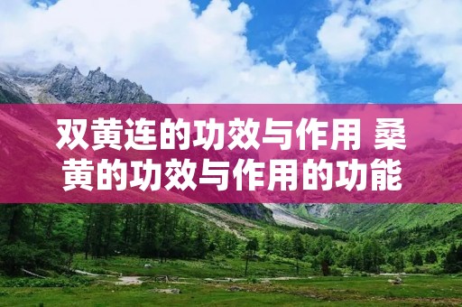 双黄连的功效与作用 桑黄的功效与作用的功能与主治